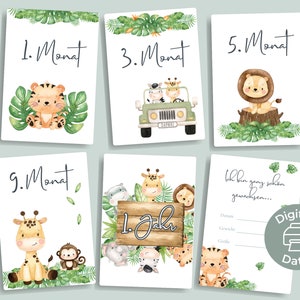 PDF de 14 cartões de marcos para o "Primeiro ano do bebê" | Animais Safári | Cartões de marcos do bebê para download