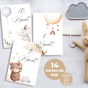 14 carte cardine PDF per "Il primo anno del bambino" | Orso Aereo | Carte importanti per bambini da scaricare