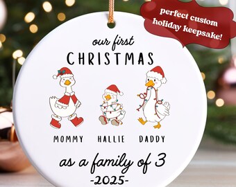 Our 1st Christmas Family Of Three Goose Ornament,Custom New Family Ornament, Personalized Baby's First Christmas Keepsake with Names