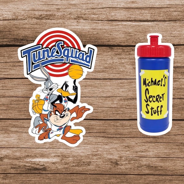 Tune Squad / Michaels secret stuff Stickers - Set is optional. Click to explore size options- laminated/weatherproof/water resistant