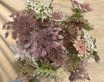 Chocolate Lace Flower 