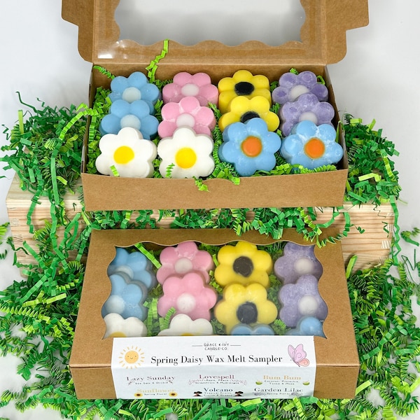 Spring Scents Daisy Wax Melt Sampler Box, Summer scents, fruity scents, beach scents, variety pack, wax melt lovers, for her, mother's day