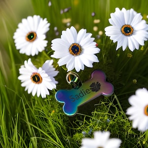 Color Stainless Steel Bone Dog Tag