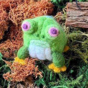 May include: A green felt frog with large pink eyes and yellow feet. The frog is sitting on a bed of green and brown moss.