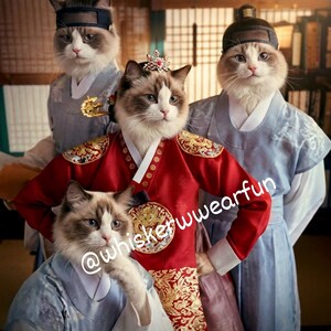 Puede incluir: Cuatro gatos vestidos con trajes tradicionales coreanos hanbok. Un gato lleva una túnica roja con bordados dorados y una corona enjoyada. Los otros gatos visten hanboks grises y azules con cintas para la cabeza. La imagen tiene el texto "@whiskerwwefun".