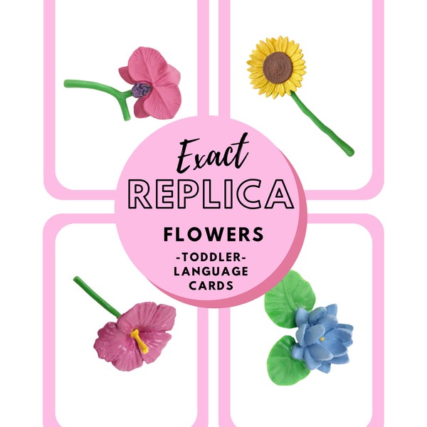 Montessori Language Cards - Flowers