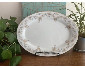 Contemporary by Noritake Benita 3019 14" Oval Thanksgiving Serving Platter EUC