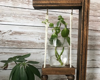 Wood Propagation Station for Two Plants