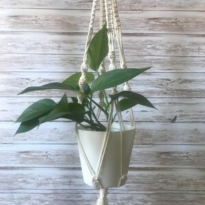 May include: A white macrame plant hanger with a white pot and a green plant hanging from it. The hanger has a tassel at the bottom.