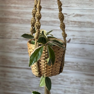 May include: A hanging plant holder made of natural rope with macrame knots. The holder is hanging from the ceiling and has a small potted plant with green and white leaves inside.