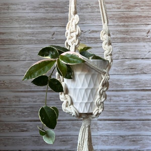 May include: A white macrame plant hanger with a white ceramic pot and a trailing plant with green and white leaves.