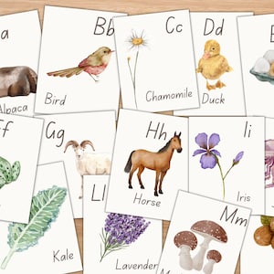 Watercolor Nature Alphabet Flashcards