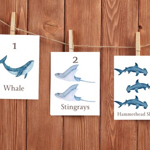 Carte di conteggio a tema oceano / Stampabili homeschool di oceanografia / Carte Montessori / Arte della parete della sala giochi / Attività per neonati e bambini
