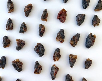 Dehydrated Chicken Hearts | Single Ingredient Natural Raw Whole Foods for Pets | Dog Cat Healthy TCM Holistic Chews Treats