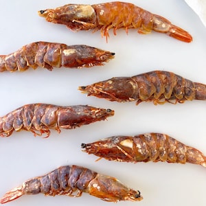 Dehydrated Whole Jumbo Prawns | Single Ingredient Natural Raw Whole Foods for Pets | Dog Cat Healthy TCM Holistic Chews Treats