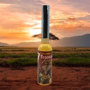 7 African Powers Cologne