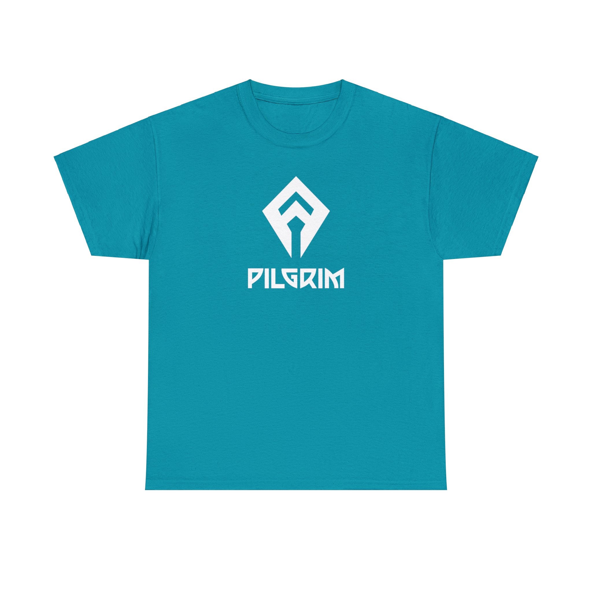 C106 NIKKE Tシャツ ブレッディ Nikke Pilgrim Tee | Nikke Goddess of Victory Shirt | Anime Tee - Etsy