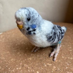 Custom Needle Felted Budgie Figure: Bird Sculpture Keepsake