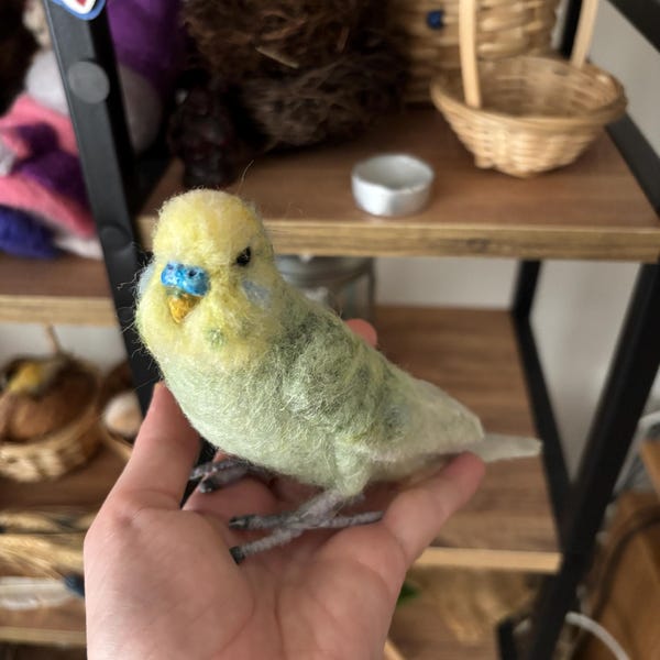 Custom budgie figure needlefelted