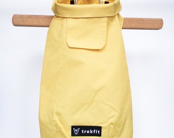 Lemon dachshund raincoat