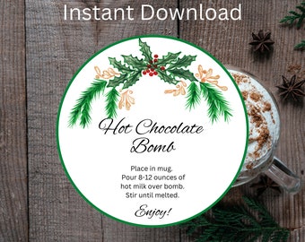 Hot Chocolate Bomb Tag, Printable Hot Cocoa Bomb Tag, Hot Chocolate Bomb Instructions, Christmas Hot Cocoa Bomb, Cocoa Bombs, Favor Tags