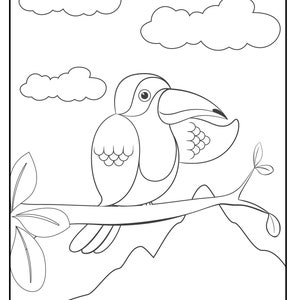 40 Animal Coloring Pages - Etsy