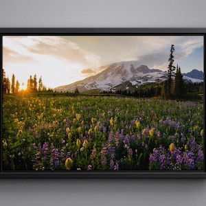 Mount Rainier National Park Canvas, Mount Rainier lake  framed poster, Mount Rainier acrylic glass print, Washington large size canvas