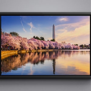 May include: A scenic view of the Washington Monument in Washington, D.C. with cherry blossoms in bloom along the Tidal Basin. The water reflects the trees and the monument.