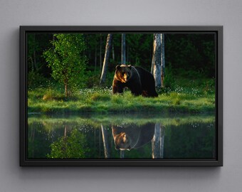 Big Brown Bear Reflection Canvas, Wildlife Scene Poster, Dangerous Animal Acrylic Glass Print, Morning Light Large Art, Forest Wall Decor