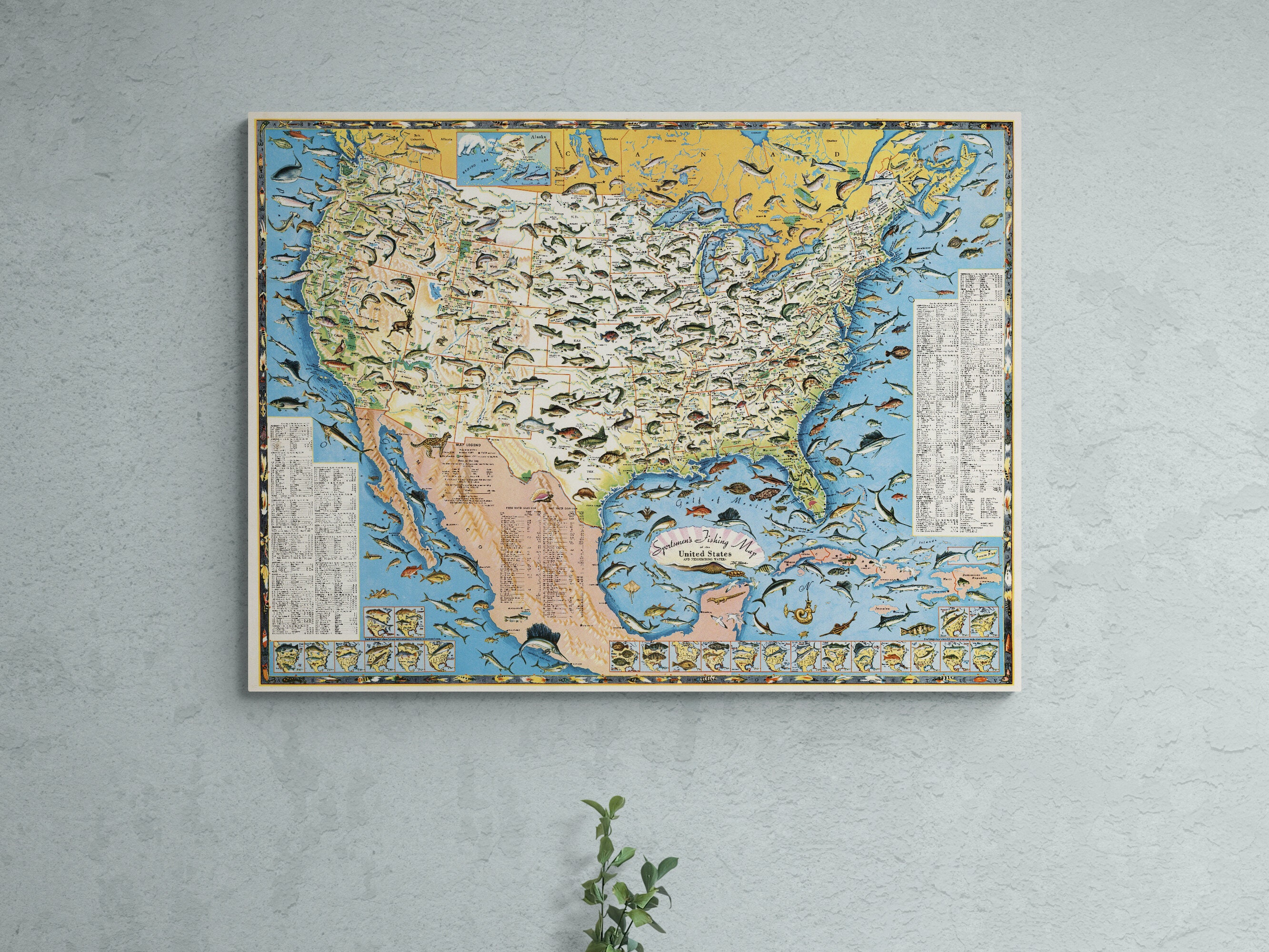 1957 Fishing Map of USA: Vintage Species Illustration Art Print - Etsy