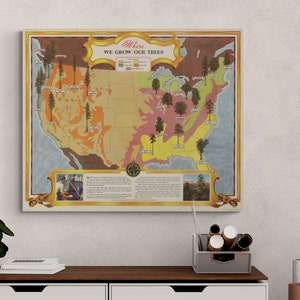 Waar we onze bomen laten groeien 1943 Vintage kaart USA bosbouw Americana boomkwekerij geschiedenis antieke print poster Wall Art Wall Art Home decor cadeau