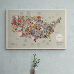 Mappa vintage dei fiori selvatici americani della primavera del 1955 Decorazioni per la casa retrò Mappa illustrata USA Garden Poster Wall Art Gift