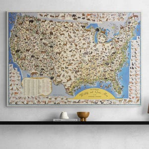 Vintage 1956 Wildtier- & Wildkarte | antiker Jagddruck | Retro Wand Kunst Poster | Wohnkultur Geschenk | Landkarte USA