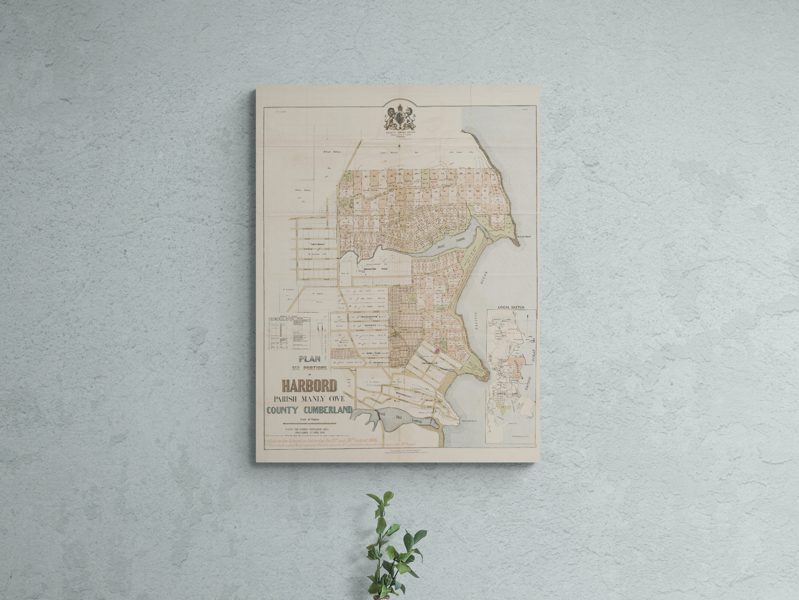 Vintage Map Manly Sydney Estate Sales Map 1886 Cove Freshwater Queenscliff Curl Curl Harbord