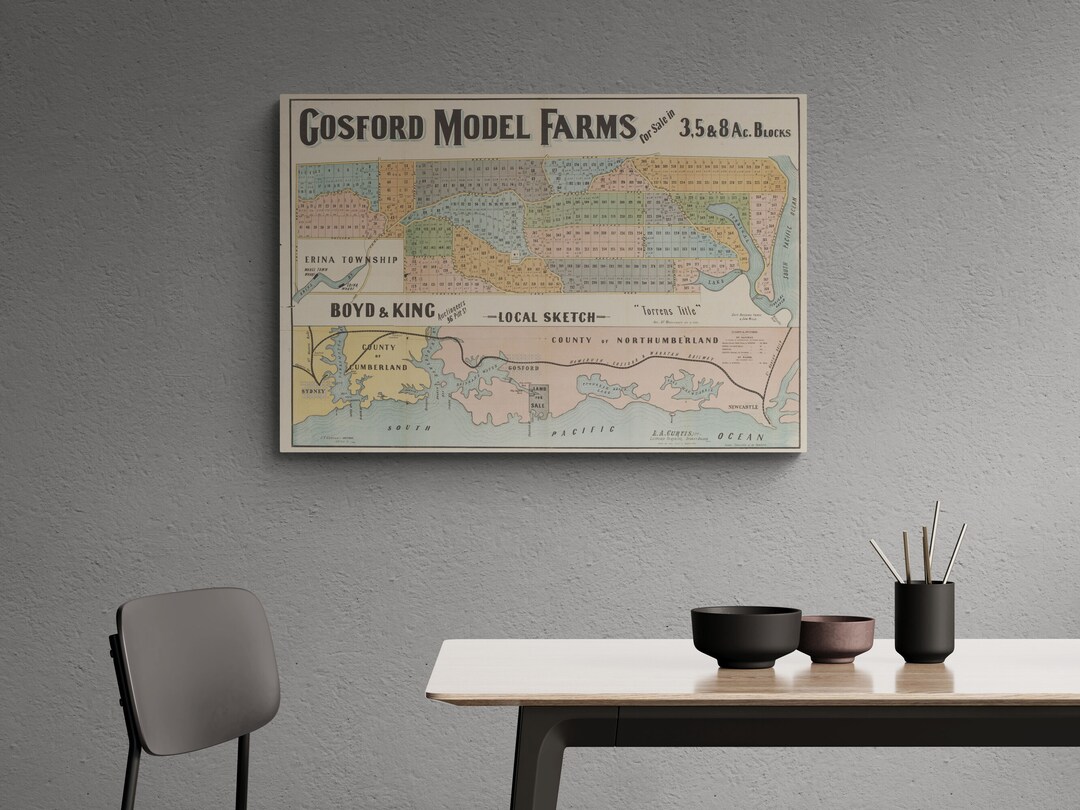 Vintage Map Gosford Central Coast Sydney Estate Sales Plan 1885 Model Farms Terrigal Erina