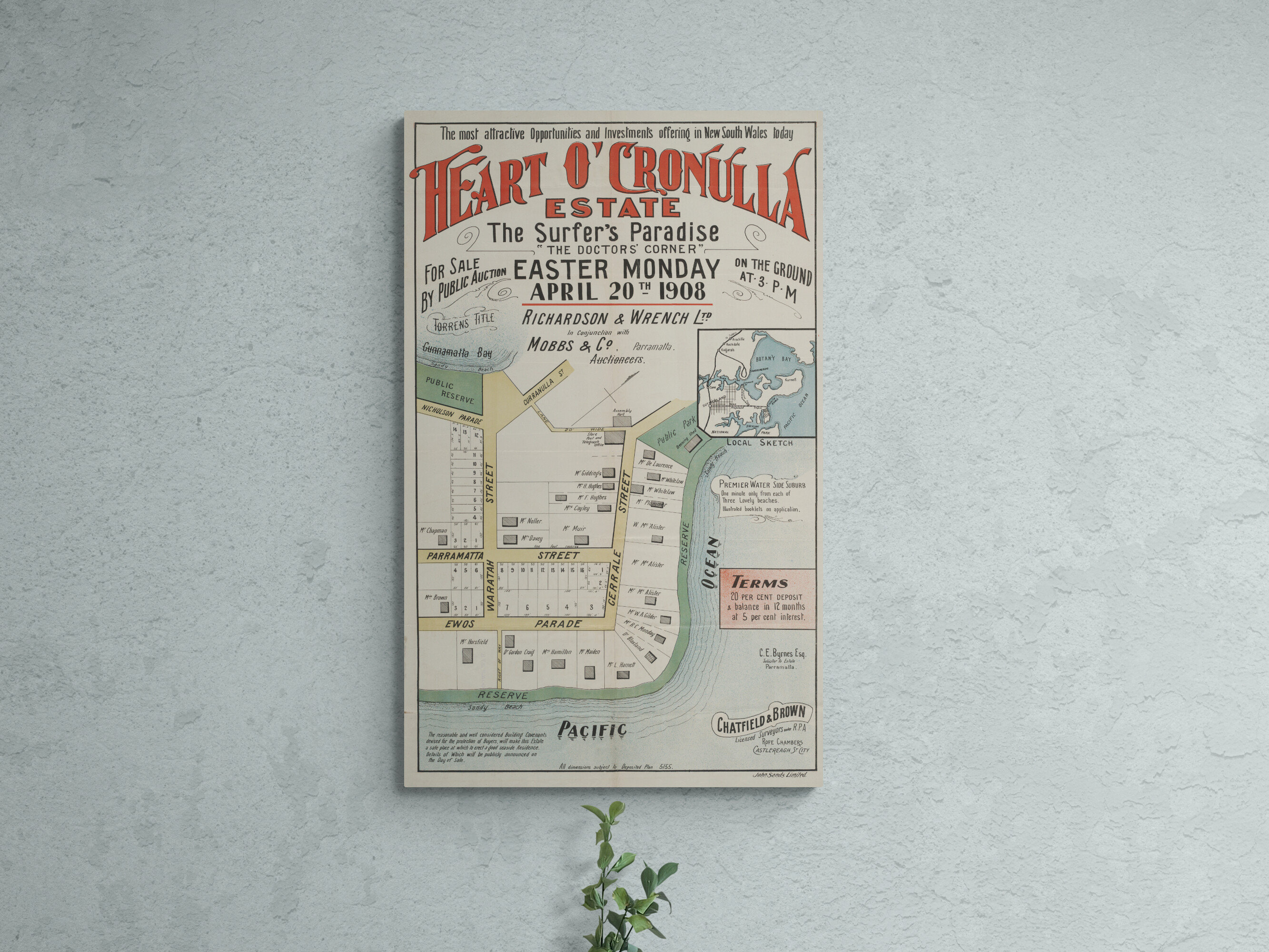 Vintage Cronulla Sydney Map Print: 1908 Ewos Estate Auction Poster - Etsy