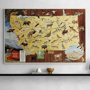 Vecchia mappa sportiva del Montana 1967 Caccia mappa illustrata pittorica all'aperto Big Sky Fishing USA Storia Poster Wall Art Home Decor Regalo