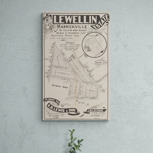 Lewellin Estate, carte des ventes immobilières vintage 1889, Marrickville Enmore Park, rues de Sydney, vieille carte, impression antique, affiche d'art mural, décoration d'intérieur rétro