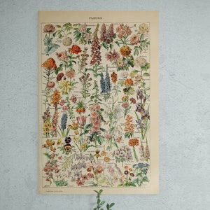 Vintage Blumen Karte Küchen Wand Poster Französisches Küchen Poster Cottagecore Küche Wand Kunst Fleurs Wildblumen Retro Speisekammer