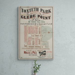 Vintage Karte Sydney Glebe Point State Landkarte 1890 Toxteth Park Straßen Alte Karte Antiker Druck Poster Wand Kunst Retro Wohnkultur Geschenk