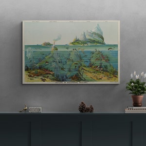 Cartel retro Naturaleza en regiones descendentes 1893 Antiguo mapa ilustrado Impresión oceánica antigua Póster Continental Wall Art Retro Home Decor Regalo