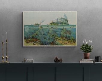 May include: Vintage illustration of a mountain range with a volcano erupting, showing the different levels of nature in descending regions, from the mountain peak to the ocean floor. The illustration is framed and hanging on a wall above a dark wooden shelf.