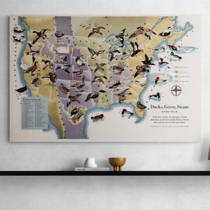 Mapa vintage de EE. UU. de patos, gansos y cisnes de 1945. Impresión retro ilustrada de aves acuáticas de América del Norte. Decoración del hogar, arte de pared, regalo para amantes de la naturaleza