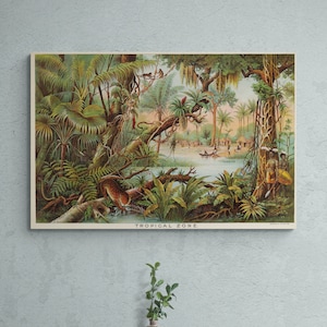 Retro Print Tropical Zone 1893 Illustriertes Poster Alte Karte Antike Natur Wand Kunst Vintage Jungle Dekor Geschenk