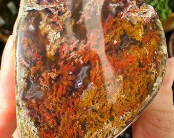 Rare Indonesian Botryoidal Scenic Moss Agate | Collector Grade Moss Agate Crystal | Natural Scenic Stone | Uni