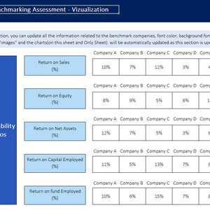 May include: A table showing profitability ratios for five companies, labeled Company A through Company E. The ratios include Return on Sales, Return on Equity, Return on Net Assets, Return on Capital Employed, and Return on Fund Employed. Each ratio is expressed as a percentage.