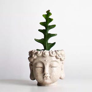 Könnte beinhalten: Ein beiger Keramiktopf in Form eines Buddha-Kopfes mit einer grünen Sukkulente, die darin wächst.
