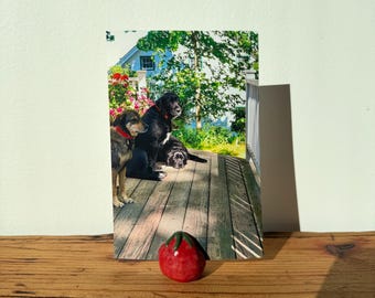 Tomato Photo Frame
