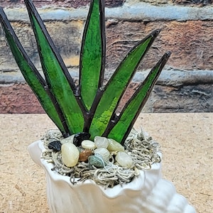 May include: A stained glass succulent plant in a white seashell planter. The plant has green leaves and is surrounded by small stones and moss.