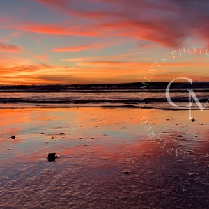 Beach Photography